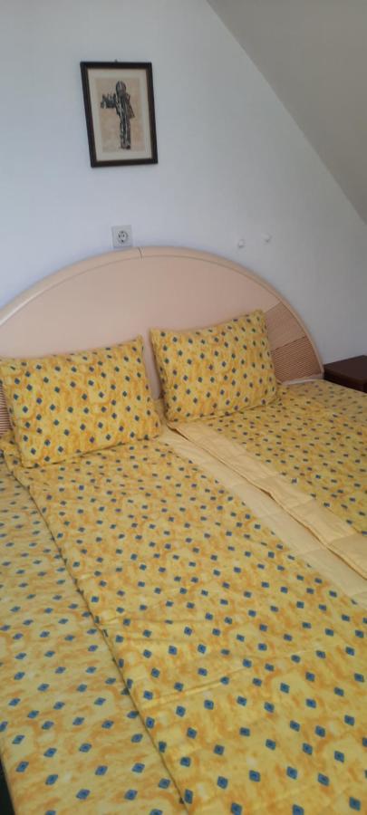 Privatni Smestaj Nanica Mataruska Banja Экстерьер фото